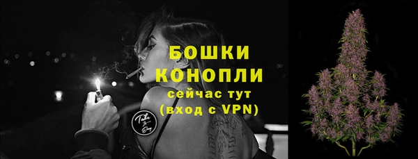 прущие грибы Абдулино